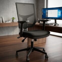 Cadeira Executiva Diretor Ergo 1021 NR17 Preto - BULK